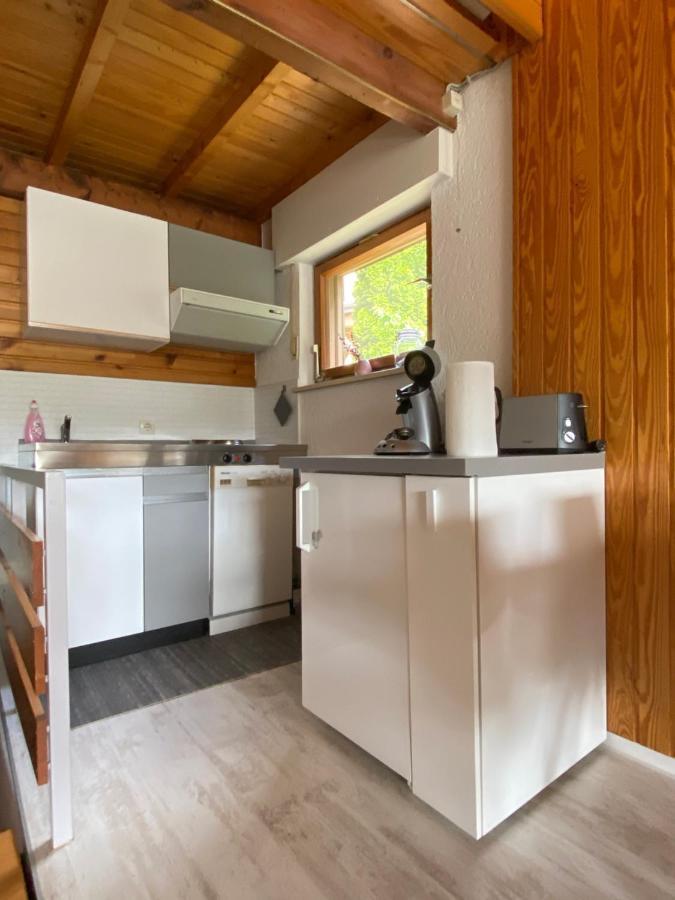 Herzstueck Todtnauberg Exteriér fotografie